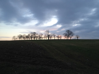 Landschaft vor dem Sturm